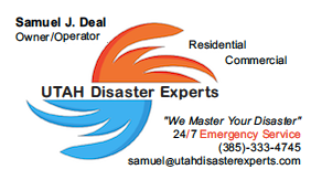 Utah Disaster Experts Business Card
